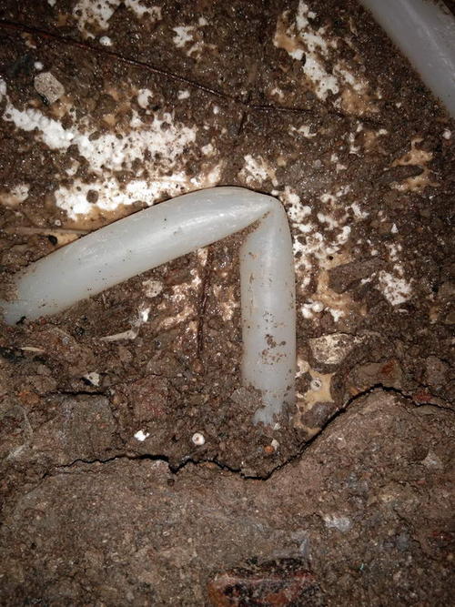 高邑堵点精准查找